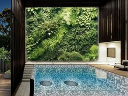 East View Garden (D16), Terrace #449379261